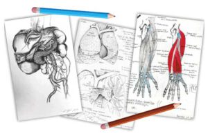 The Language of Medicine