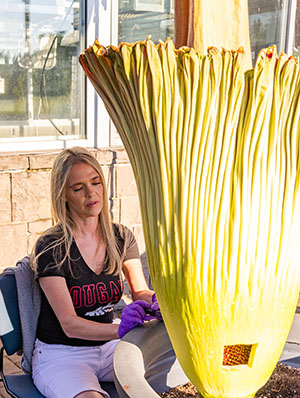 Dawn Freeman with WSUV corpse flower